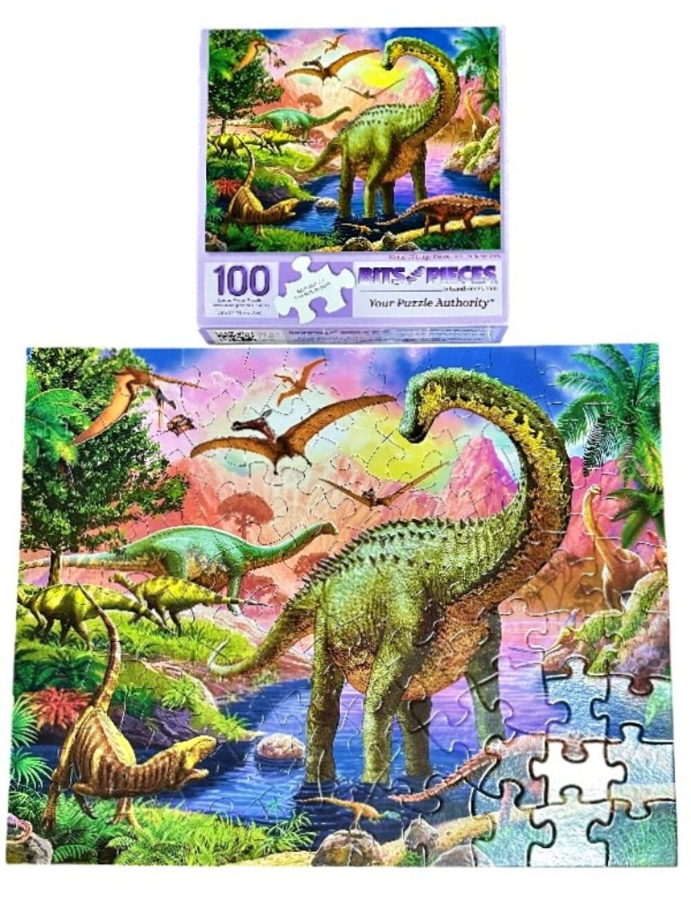 Bits and Pieces 100 Piece Puzzle Large Pieces World of Huge Dinosaurs COMPLETE!!